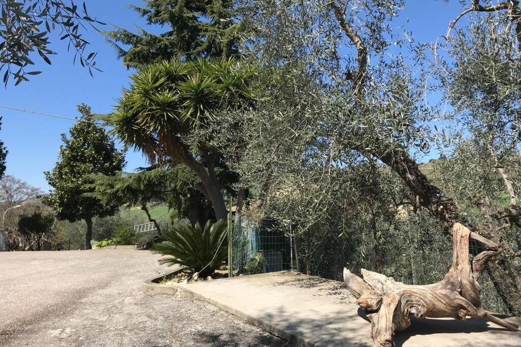 Casa Lu Monaco Tranquillita A Due Passi Dal Mare Appartement Porto d'Ascoli Buitenkant foto